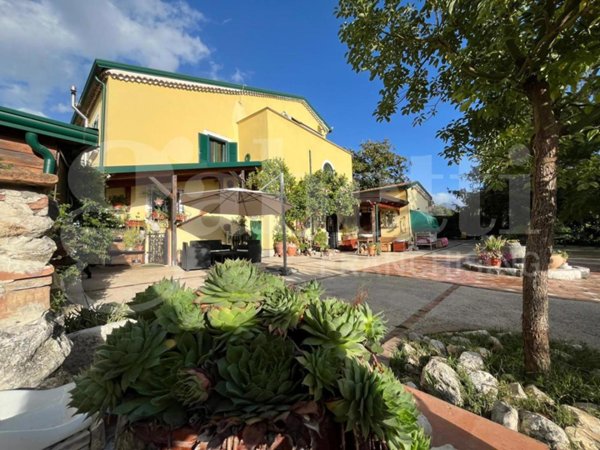 casa indipendente in vendita a Piedimonte Matese