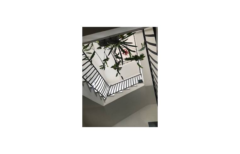 appartamento in vendita a Pietramelara