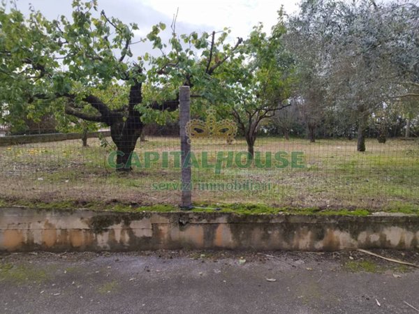 terreno edificabile in vendita a Pignataro Maggiore