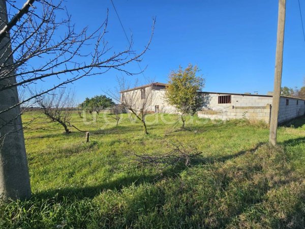 casa indipendente in vendita a Pignataro Maggiore