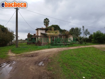 appartamento in vendita a Pignataro Maggiore