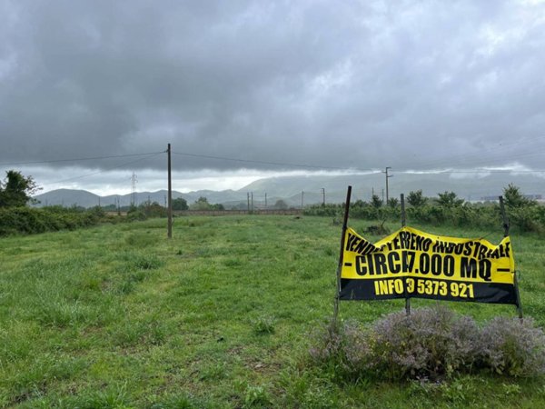 terreno agricolo in vendita a Pignataro Maggiore