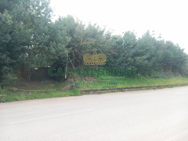 terreno edificabile in vendita a Pignataro Maggiore