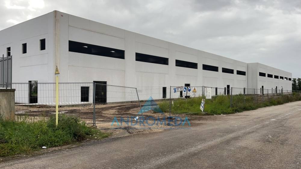 ufficio in vendita a Pignataro Maggiore