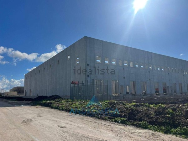 capannone in vendita a Pignataro Maggiore