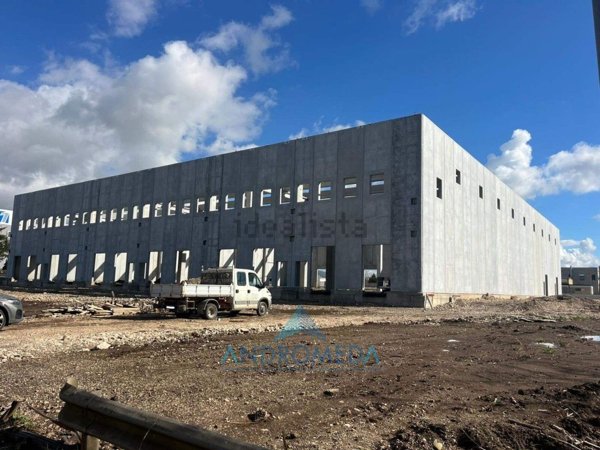 capannone in vendita a Pignataro Maggiore