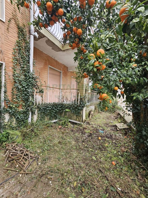 casa indipendente in vendita a Pignataro Maggiore