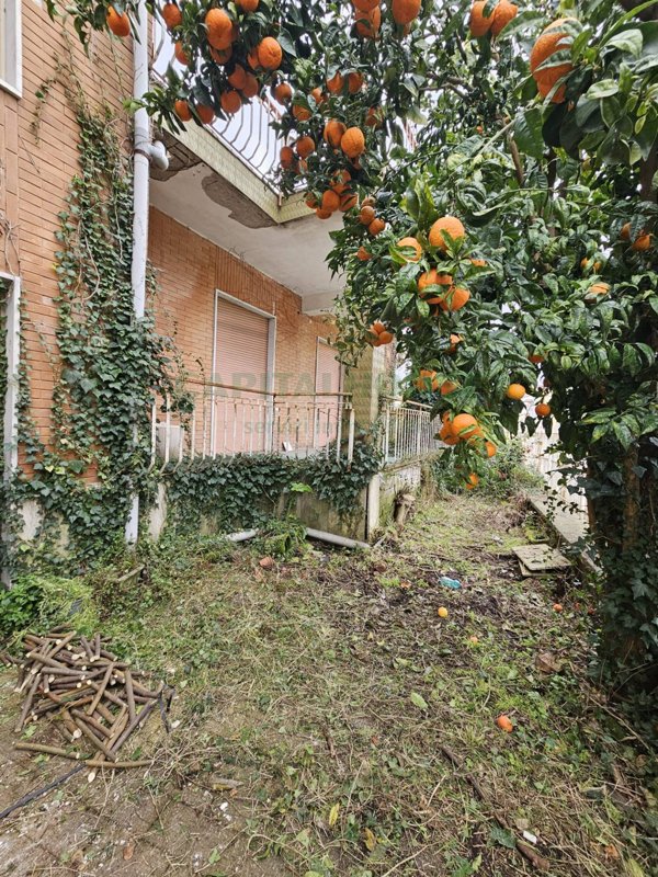 casa indipendente in vendita a Pignataro Maggiore
