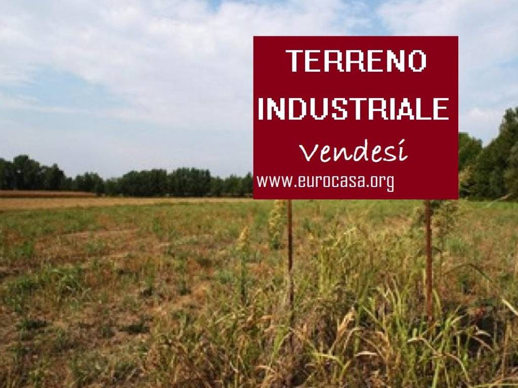 terreno agricolo in vendita a Pignataro Maggiore