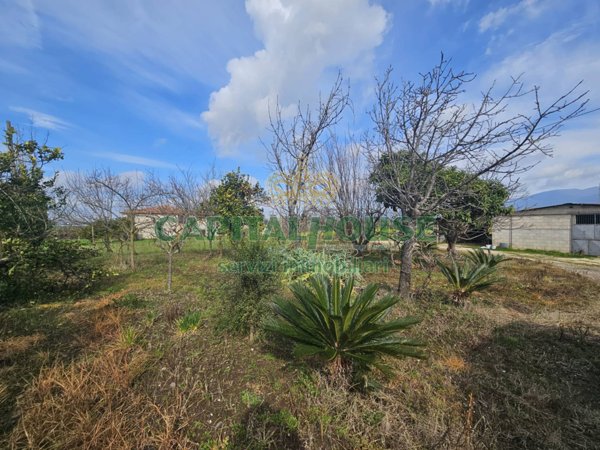 casa indipendente in vendita a Pignataro Maggiore