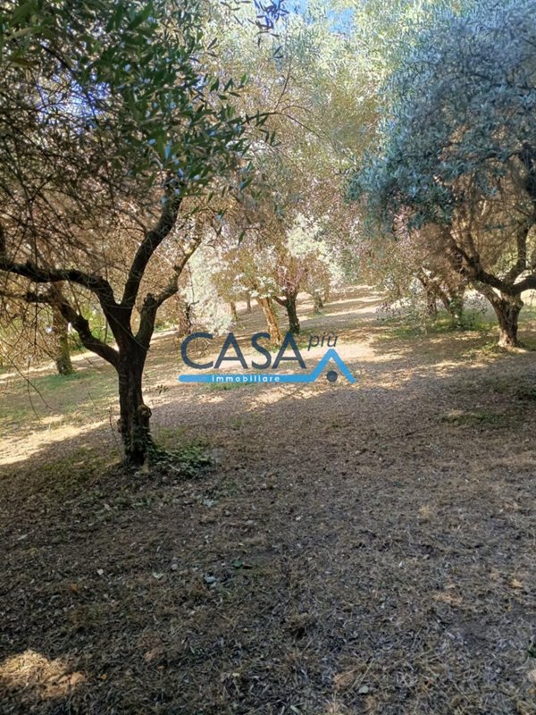 casa indipendente in vendita a Pontelatone