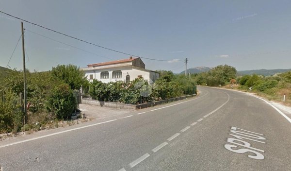 esavano in vendita a Pontelatone