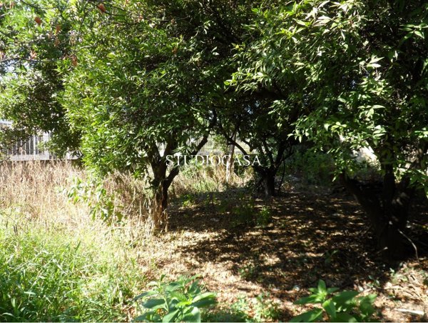 terreno edificabile in vendita a Portico di Caserta