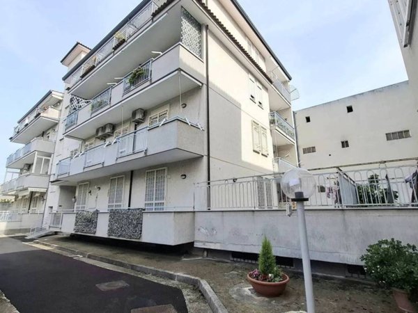 immagine annuncio 0 di 5