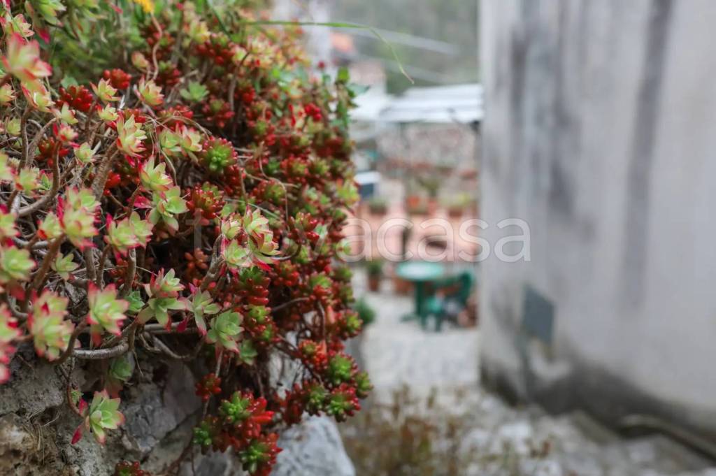 casa indipendente in vendita a Prata Sannita