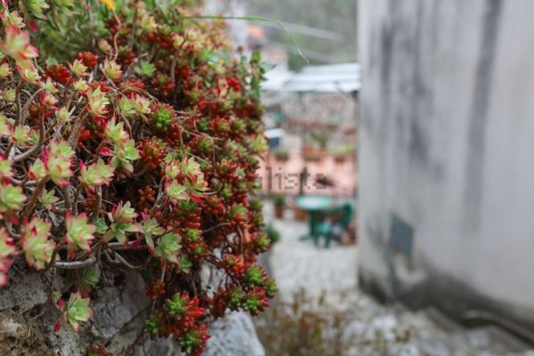 appartamento in vendita a Prata Sannita