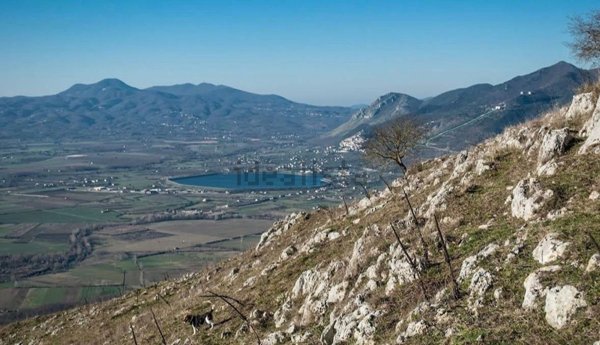 quadrivano in vendita a Pratella