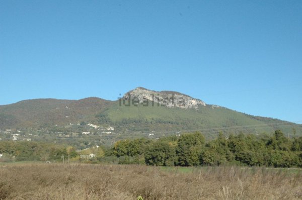 appartamento in vendita a Pratella