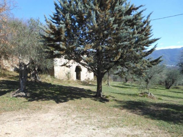 terreno agricolo in vendita a Pratella