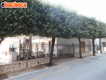 casa indipendente in vendita a Presenzano