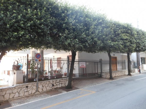 casa indipendente in vendita a Presenzano