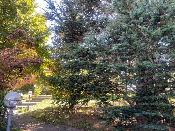 casa indipendente in vendita a Presenzano