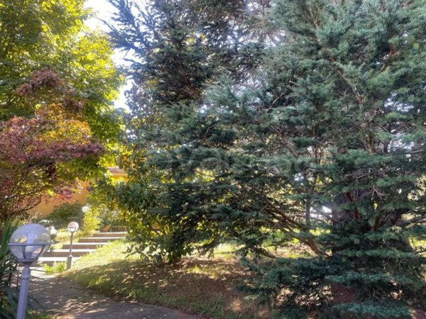 casa indipendente in vendita a Presenzano