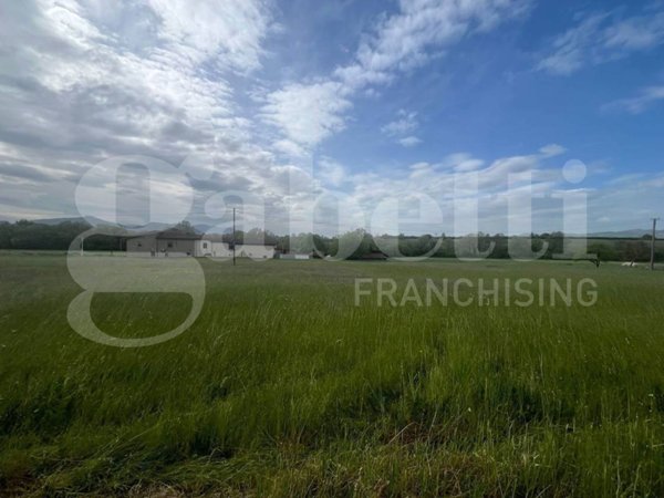 terreno agricolo in vendita a Presenzano