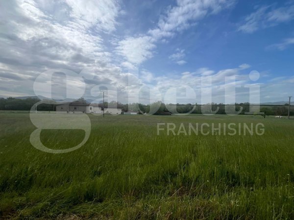 terreno agricolo in vendita a Presenzano
