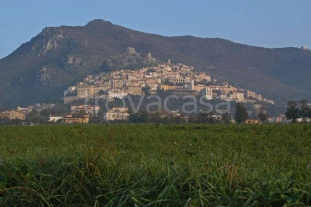 terreno agricolo in vendita a Presenzano