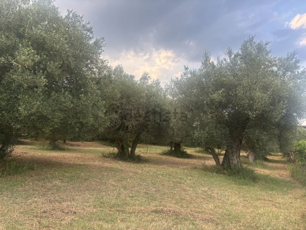 terreno edificabile in vendita a Presenzano