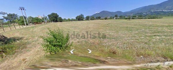 terreno agricolo in vendita a Raviscanina