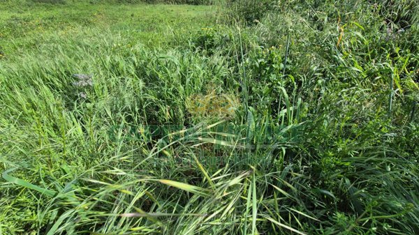 terreno agricolo in vendita a Recale