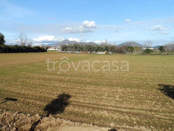 terreno agricolo in vendita a Recale