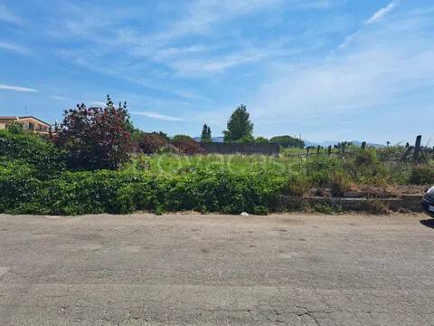 terreno agricolo in vendita a Recale