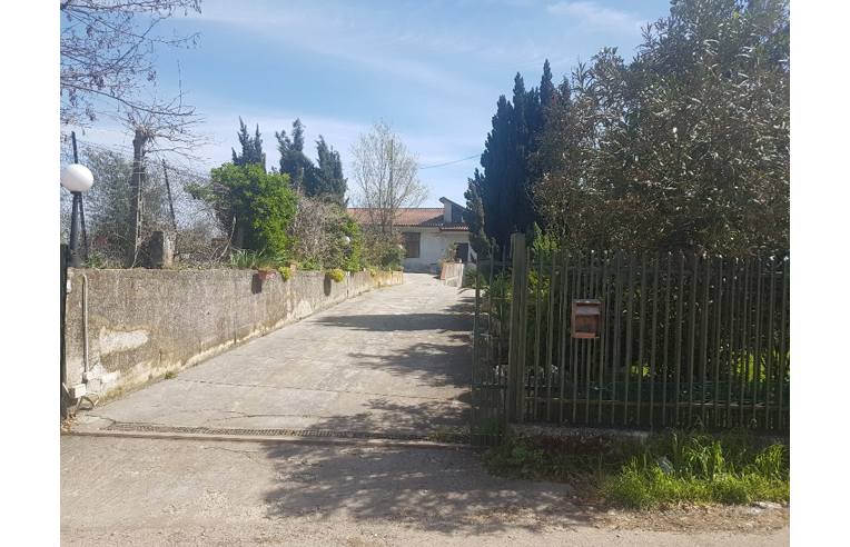 casa indipendente in vendita a Riardo