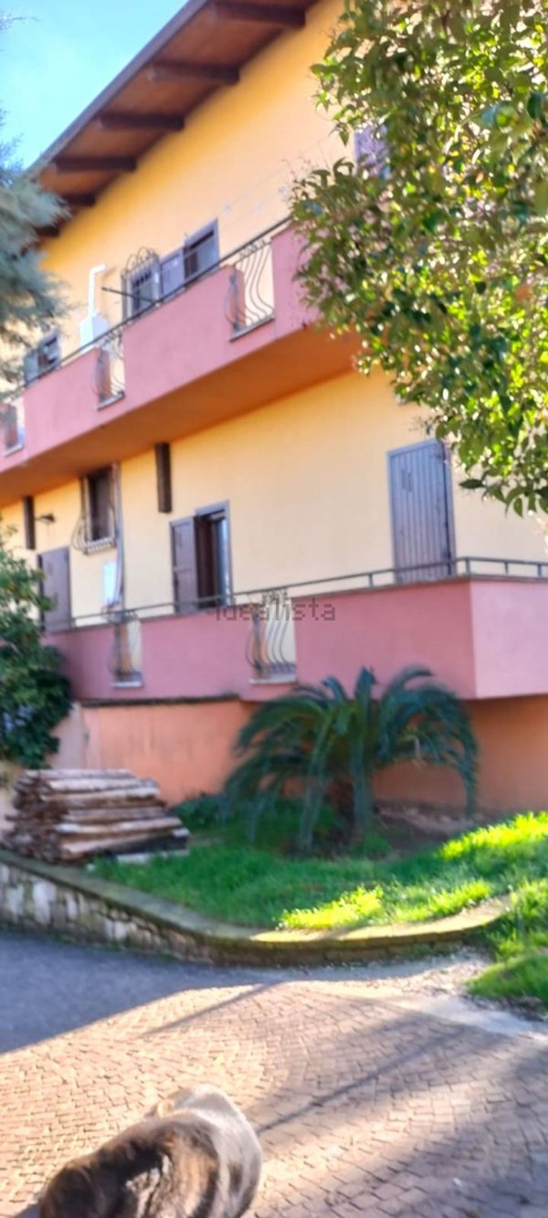 casa indipendente in vendita a Riardo