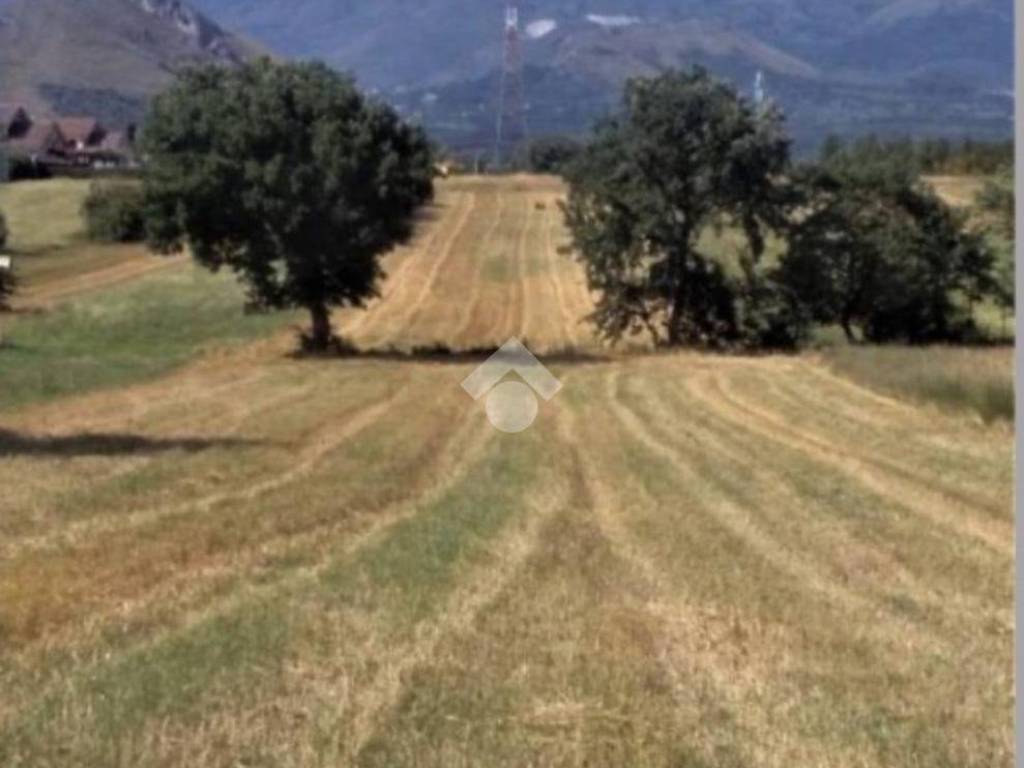 terreno agricolo in vendita a Rocca d'Evandro