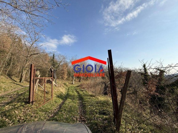 terreno agricolo in vendita a Roccamonfina