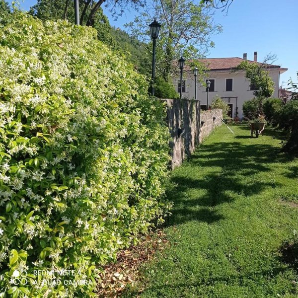 casa indipendente in vendita a Roccamonfina