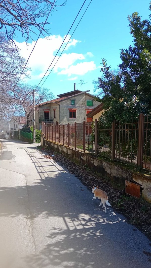 casa indipendente in vendita a Roccamonfina
