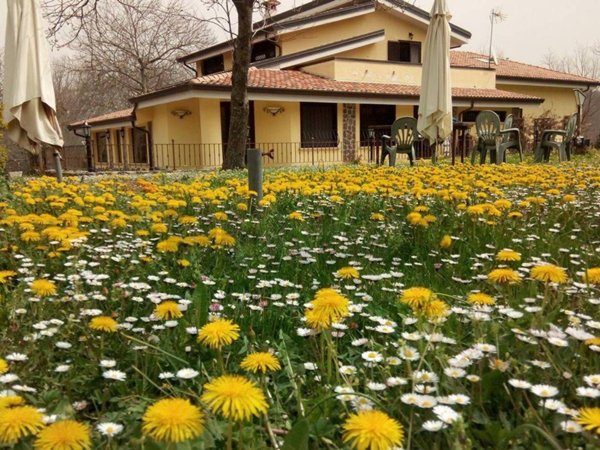 appartamento in vendita a Roccamonfina