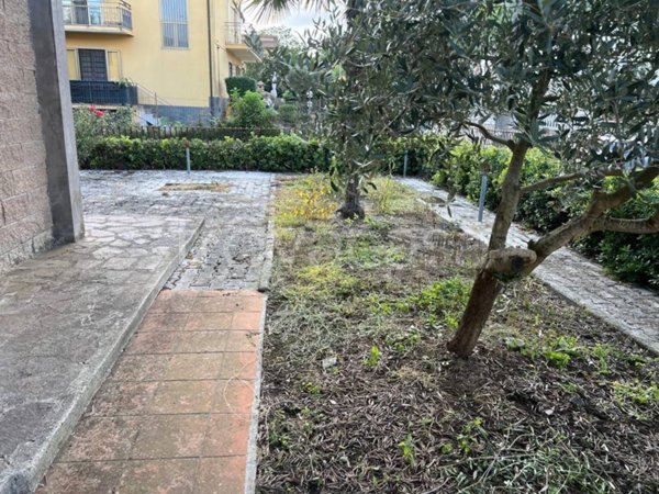 casa indipendente in vendita a Roccamonfina