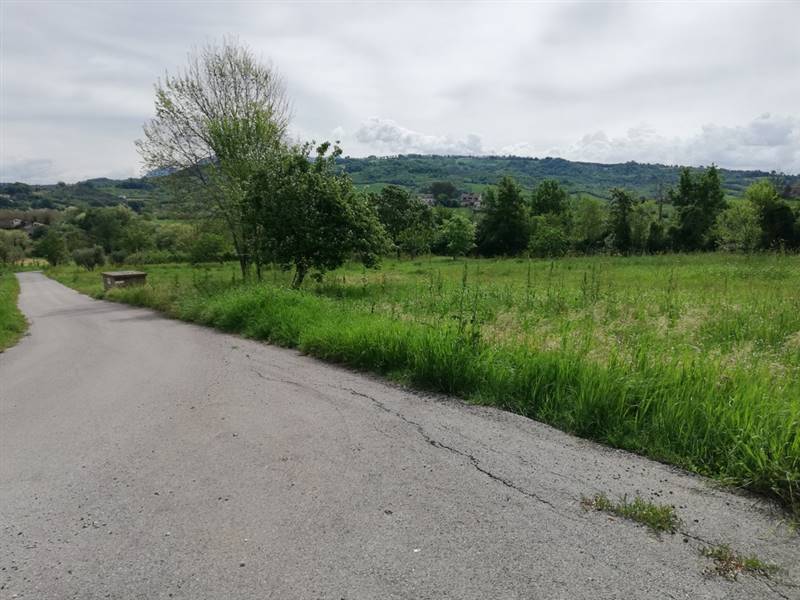 casa indipendente in vendita a Ruviano