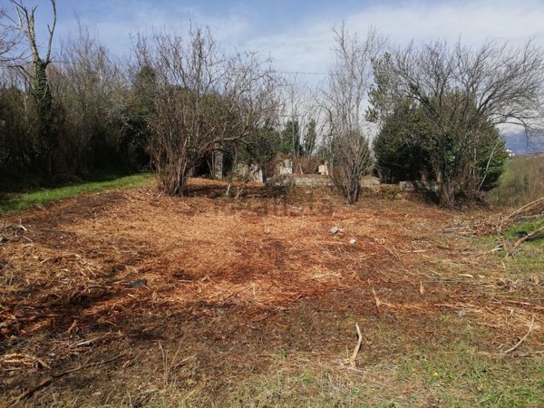 appartamento in vendita a Ruviano