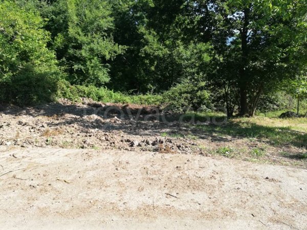 terreno agricolo in vendita a Ruviano