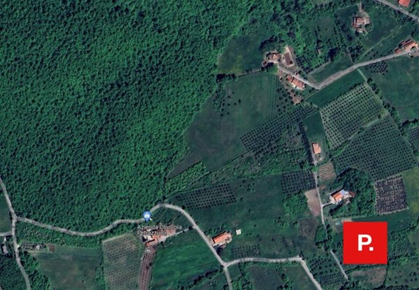 terreno edificabile in vendita a Ruviano