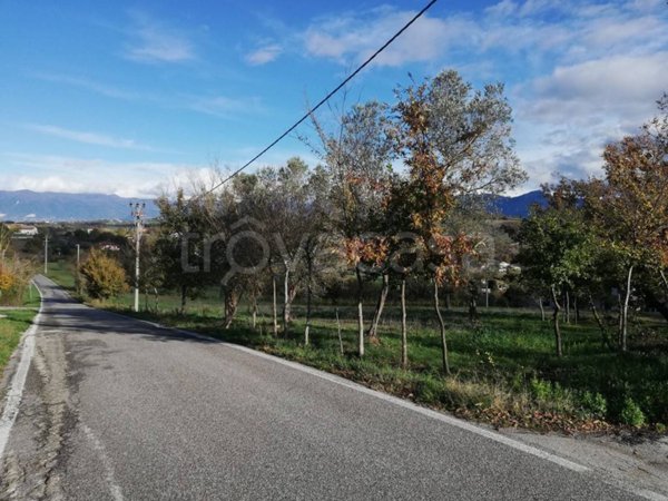 terreno agricolo in vendita a Ruviano