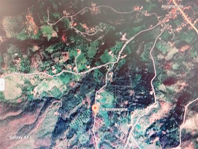 terreno agricolo in vendita a Ruviano in zona Alvignanello