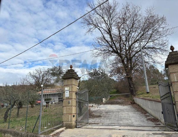 terreno agricolo in vendita a Ruviano